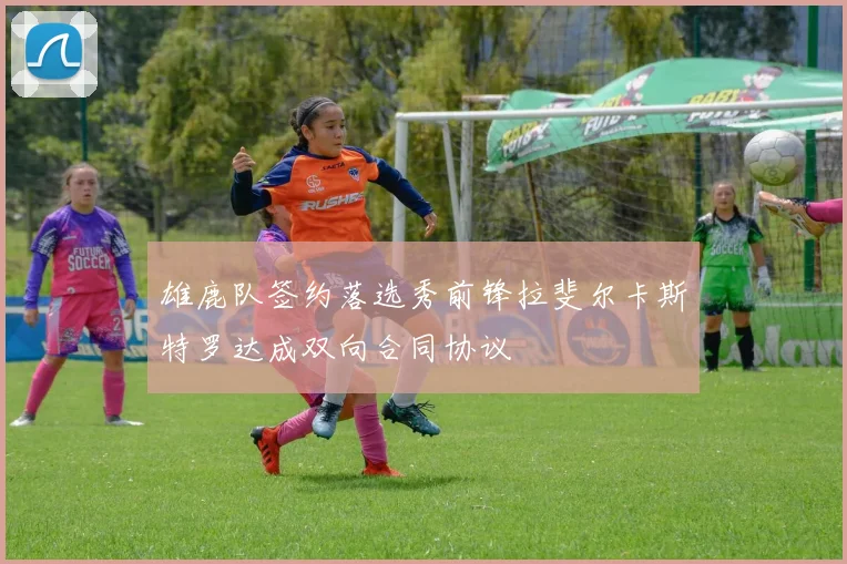 雄鹿队签约落选秀前锋拉斐尔卡斯特罗达成双向合同协议